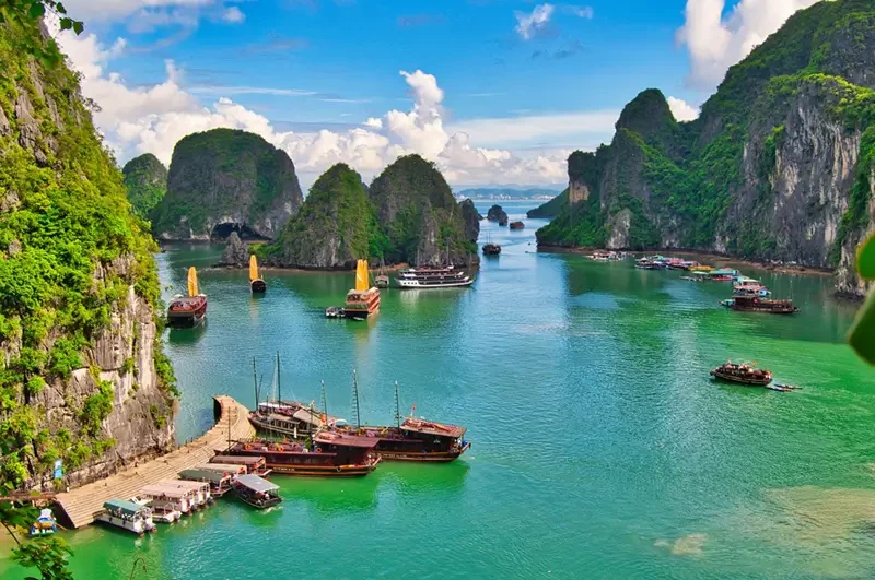 Why Is Halong Bay Becoming a Unique Choice for Corporate Offsites? Why Is Halong Bay Becoming a Unique Choice for Corporate Offsites?