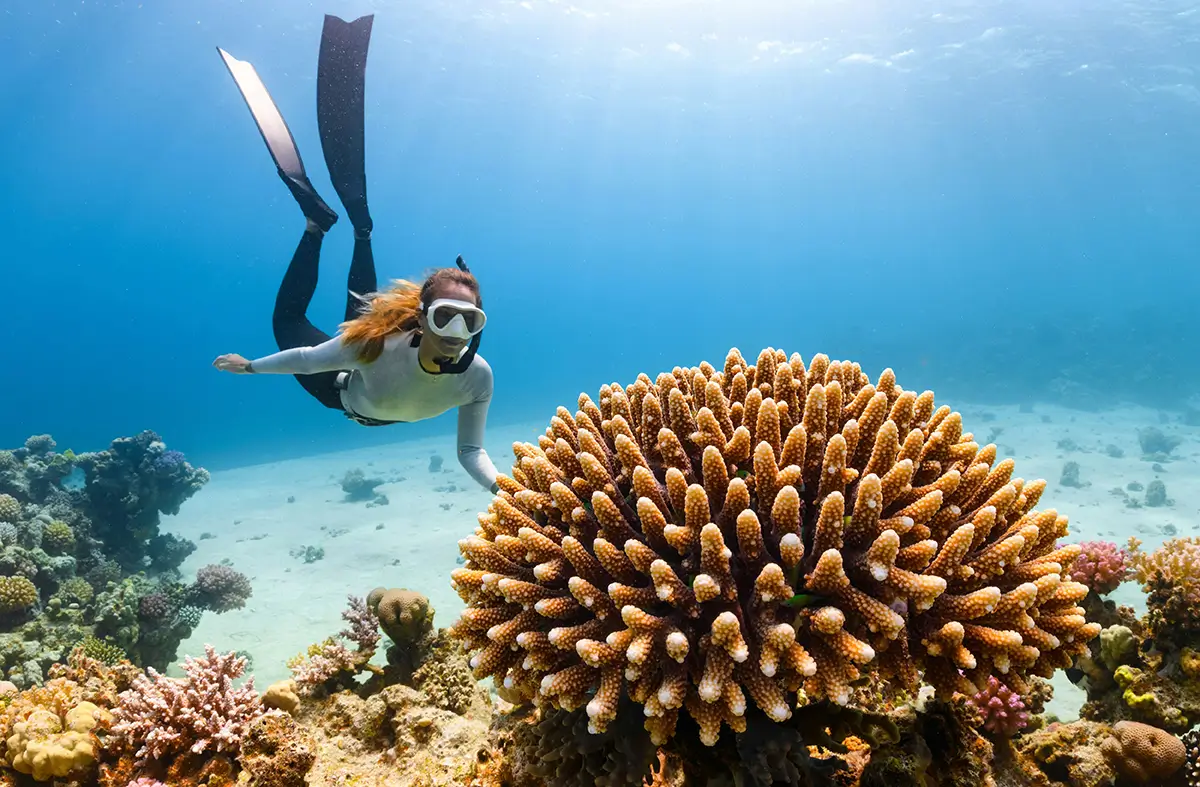 SOS Party Offsite sightseeing Lombok and the Gili Islands Gili Trawangan Snorkelling Reefs