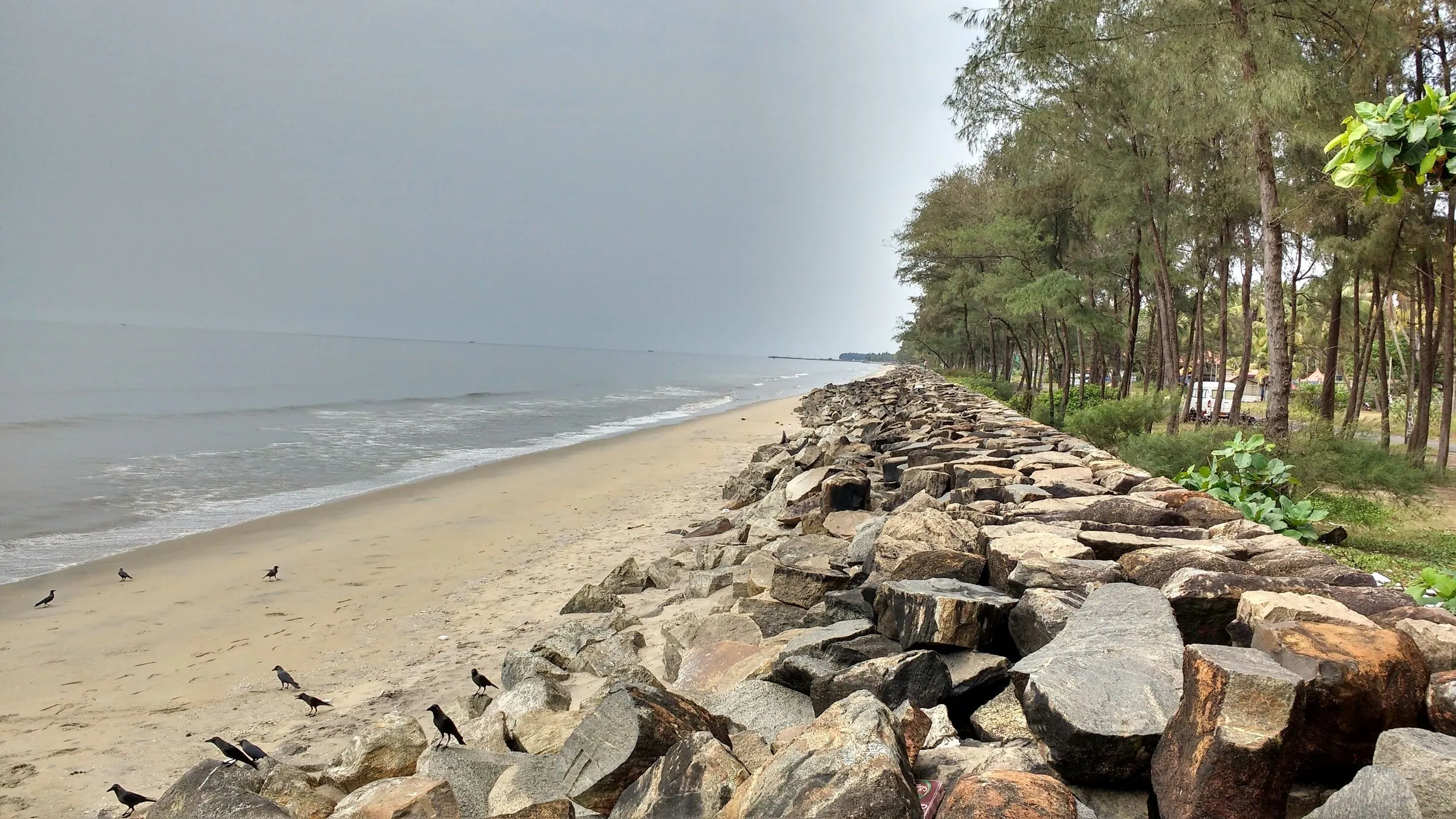 SOS Party Offsite sightseeing Kochi Cherai Beach