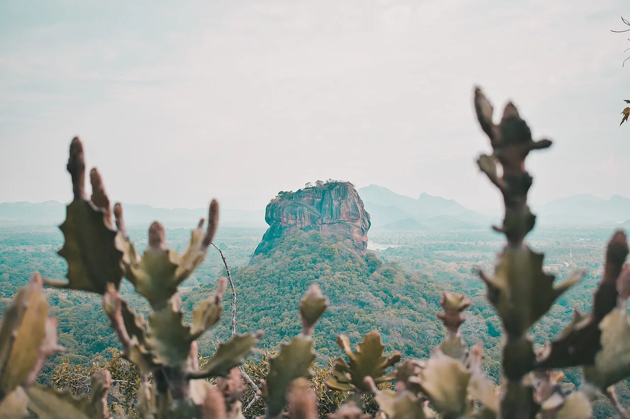 SOS Party Offsite sightseeing Cultural Triangle Pidurangala Rock Sunrise Trek