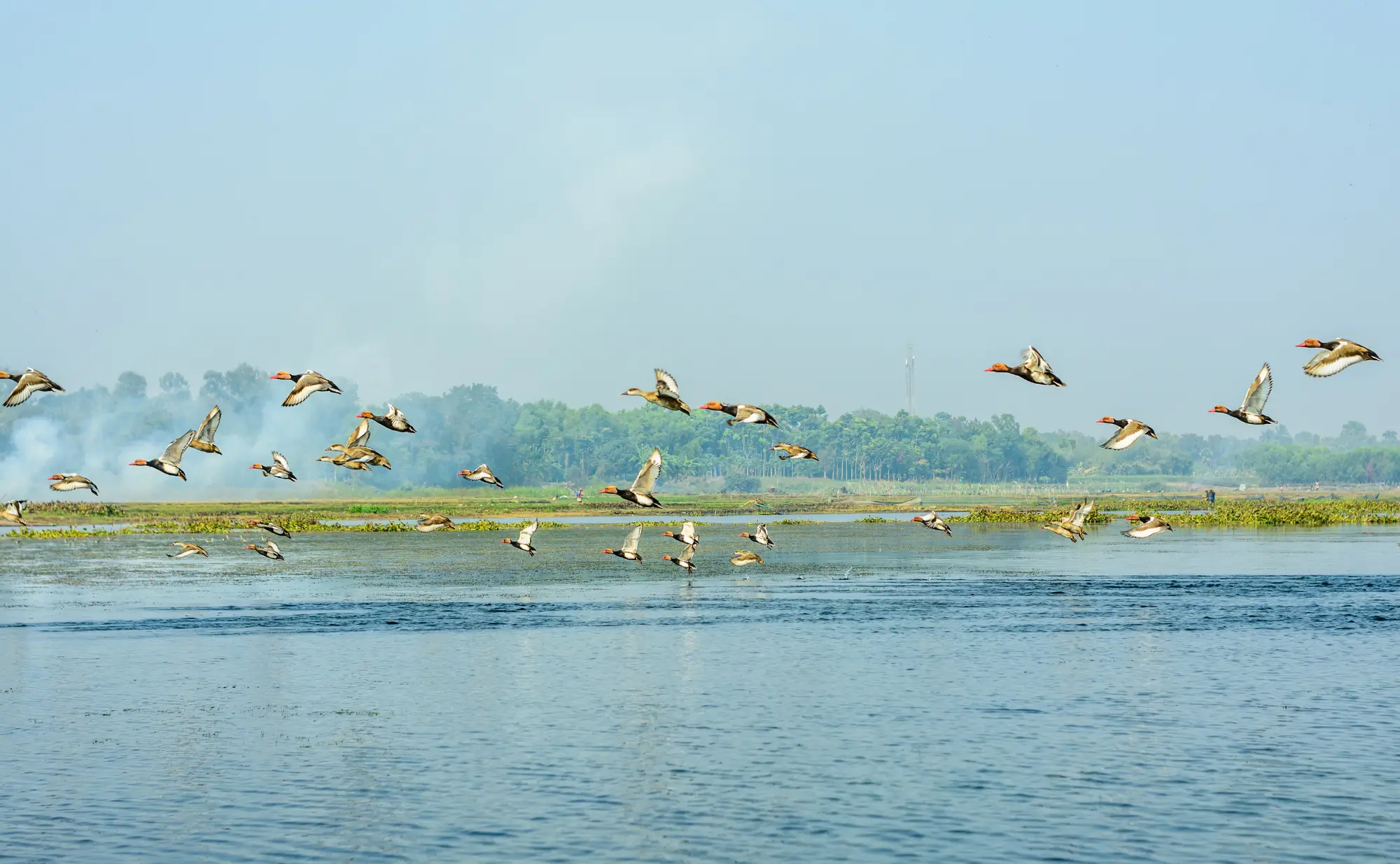 SOS Party Offsite sightseeing NCR Leisure & Adventure Okhla Bird Sanctuary, Noida