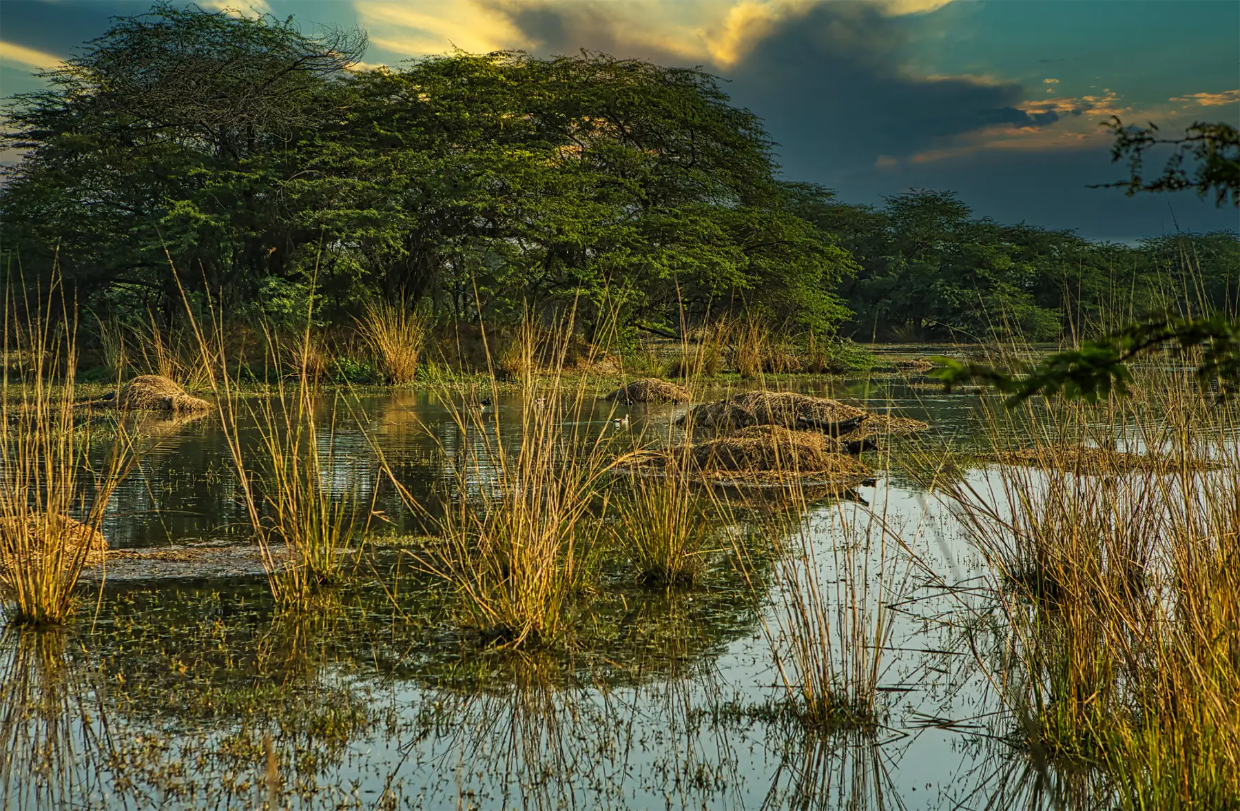 SOS Party Offsite sightseeing NCR Leisure & Adventure Sultanpur National Park, Gurgaon