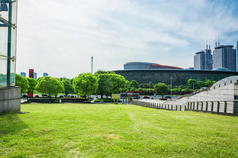 SOS Party Festivities sightseeing Office Spaces Lawn