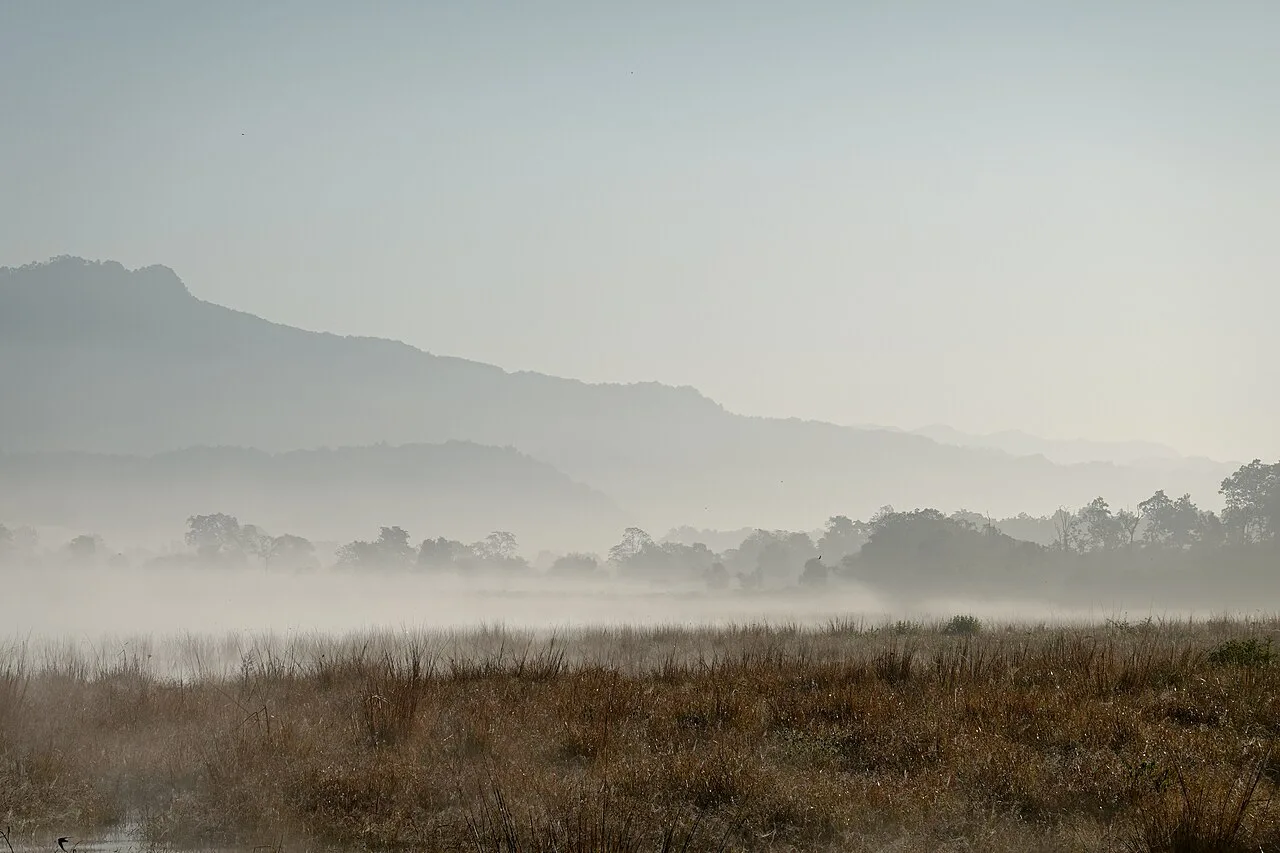 SOS Party Offsite sightseeing Wildlife & Safari Morning Mist at Dhikala